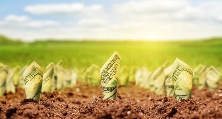 6. Tipů jak brát kvalitní potraviny od lokálních farmářů, aniž byste za ně museli platit raketu 🚀